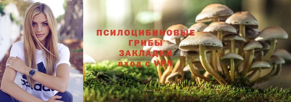 круглые Вяземский