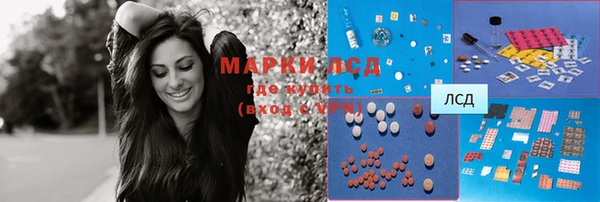 индика Саяногорск