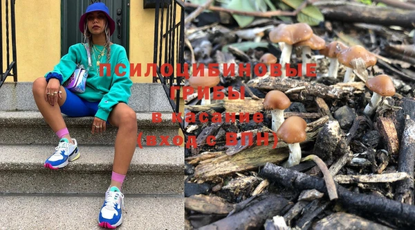 круглые Вяземский