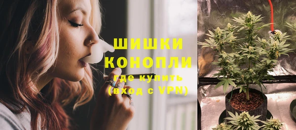 круглые Вяземский