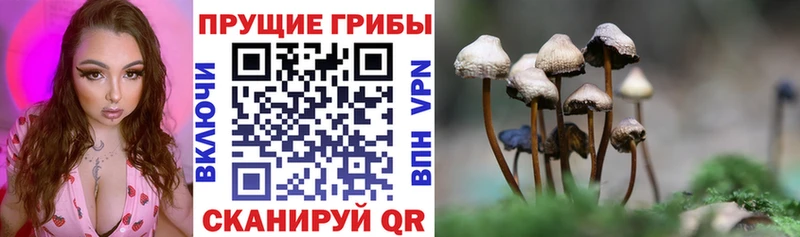 Галлюциногенные грибы GOLDEN TEACHER  Борисоглебск 